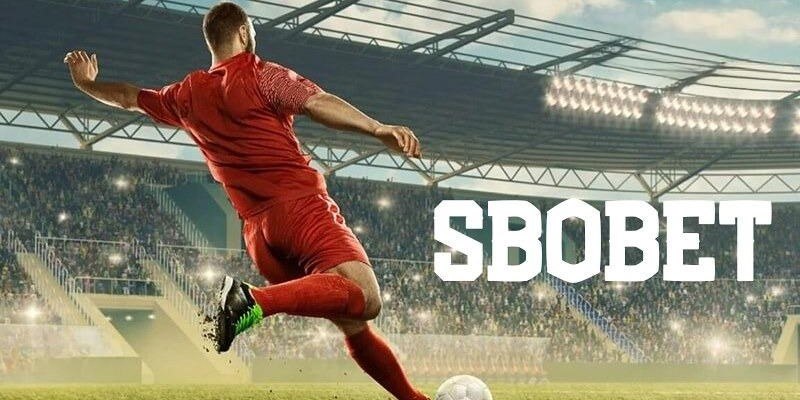 net88 đăng nhập mậu binh uy tín