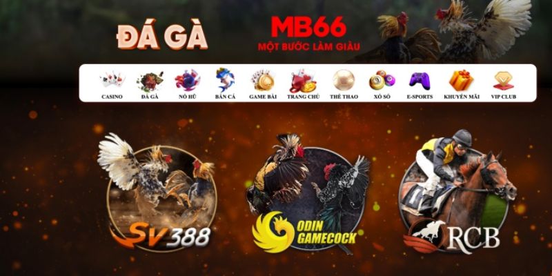 net88 what is casino bonus wagering