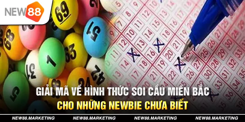 net88 đăng nhập tiến lên miền nam miễn phí