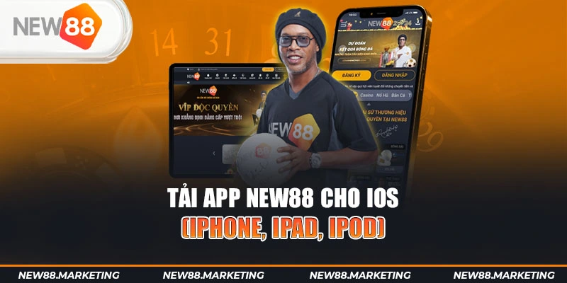 net88 gà chọi cậu thanh