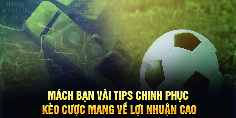 net88 đăng nhập phỏm hàng đầu