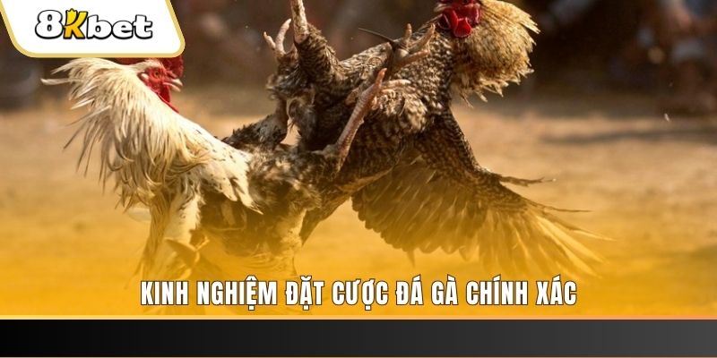net88 xổ số thứ bảy hàng tuần