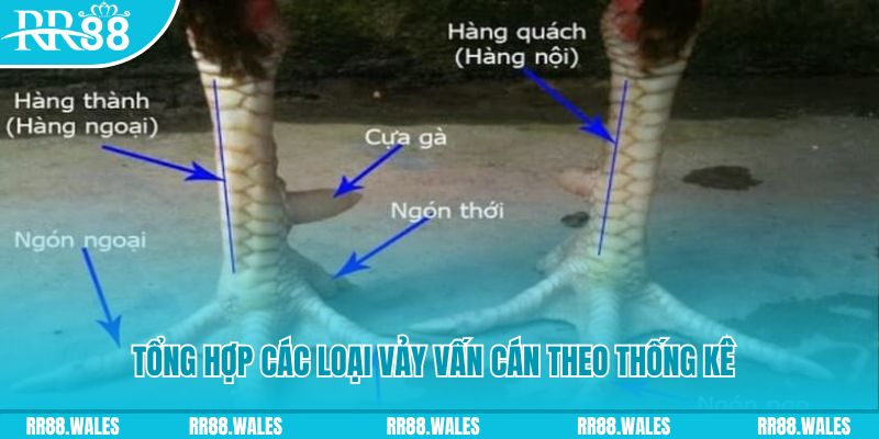 net88 xổ số miền nam thứ sáu