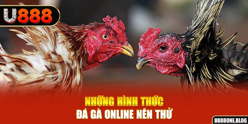 net88 nổ hũ ai là gì