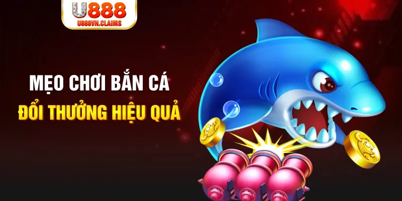 net88 gà chọi cam ranh