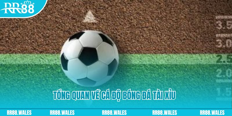net88 đăng nhập roulette online
