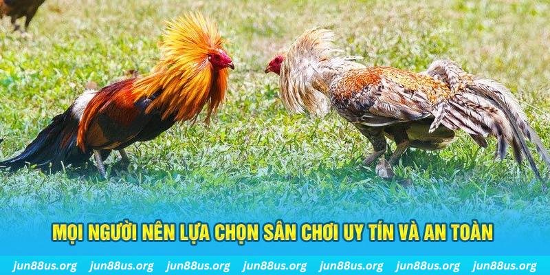 net88 Cỡ bảy
