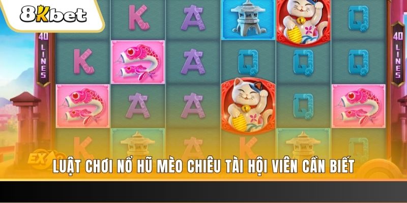 net88 gà chọi cu cần