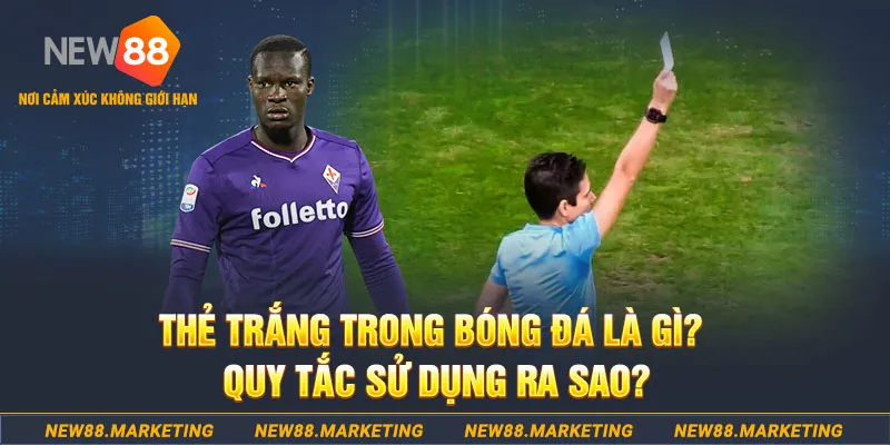 net88 đăng nhập sòng bạc hôm nay