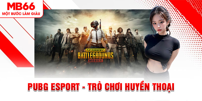 net88 casino online là gì