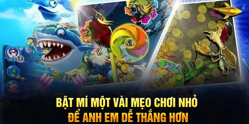 net88 xổ số thứ ba