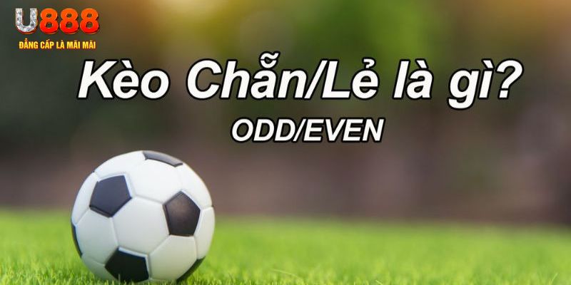 net88 đăng nhập sòng bạc 2024