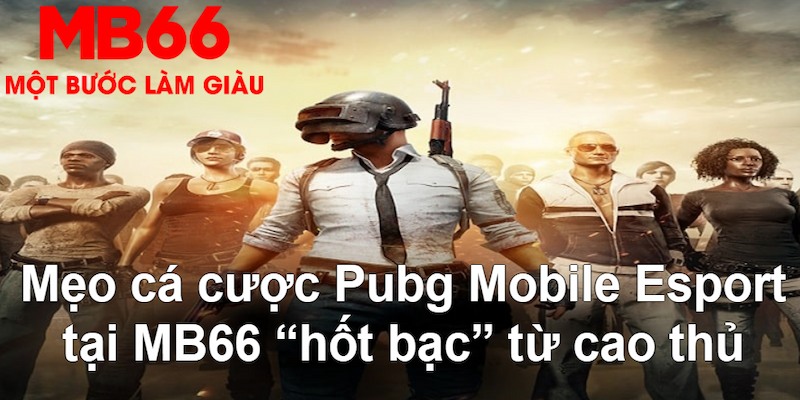 net88 đăng nhập nổ hũ mới nhất