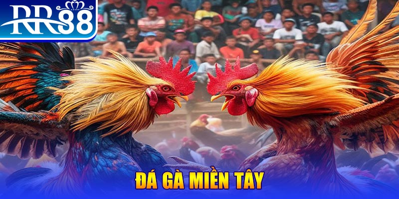 net88 xổ số miền bắc thứ bảy