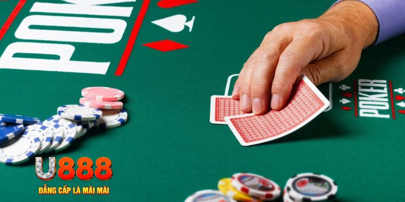 net88 đá gà 88