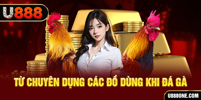 net88 đá gà trực tiếp campuchia